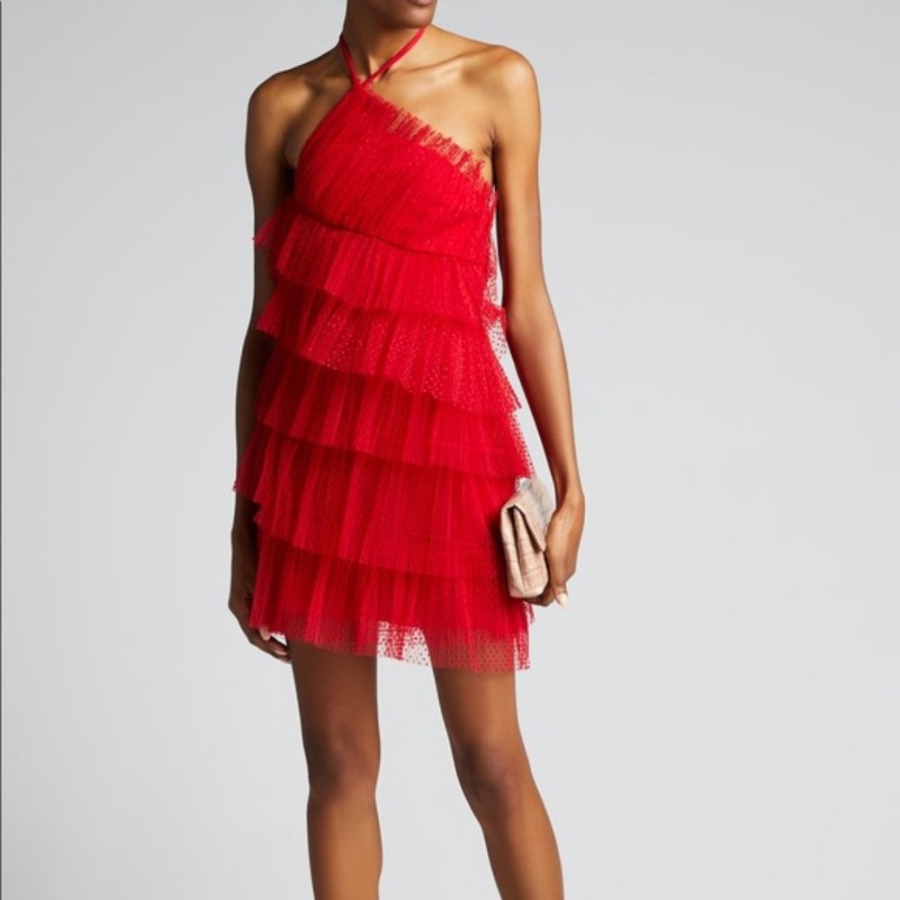 Alexis Raina ruffled-tulle mini dress